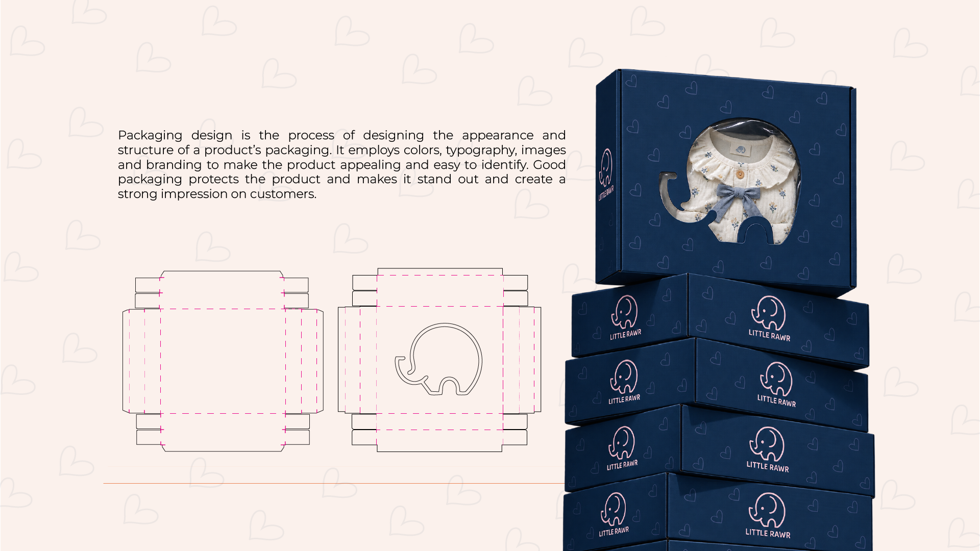 Best-Graphic-Designer-in-Calicut​-little-rawr-package-01